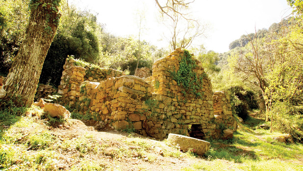 ghjargala_galmedium