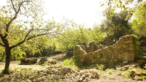 petra-rossa_galmedium